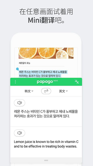 Papago翻译 截图 1