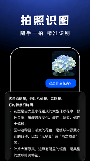 AI Agent助手 截图 5